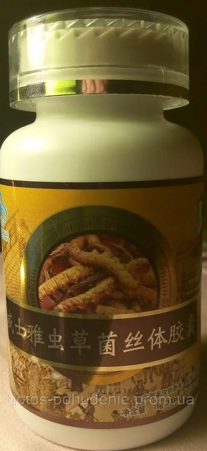 Кордицепс у капсулах